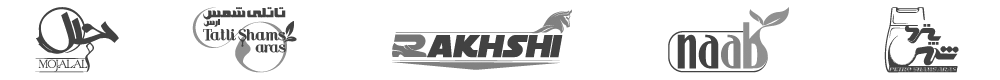 Logo, typography, emblem, monogram, pictogram, branding and digital marketing consultant and executive, لوگو، تایپوگرافی،آرم،مونوگرام، پیکتوگرام